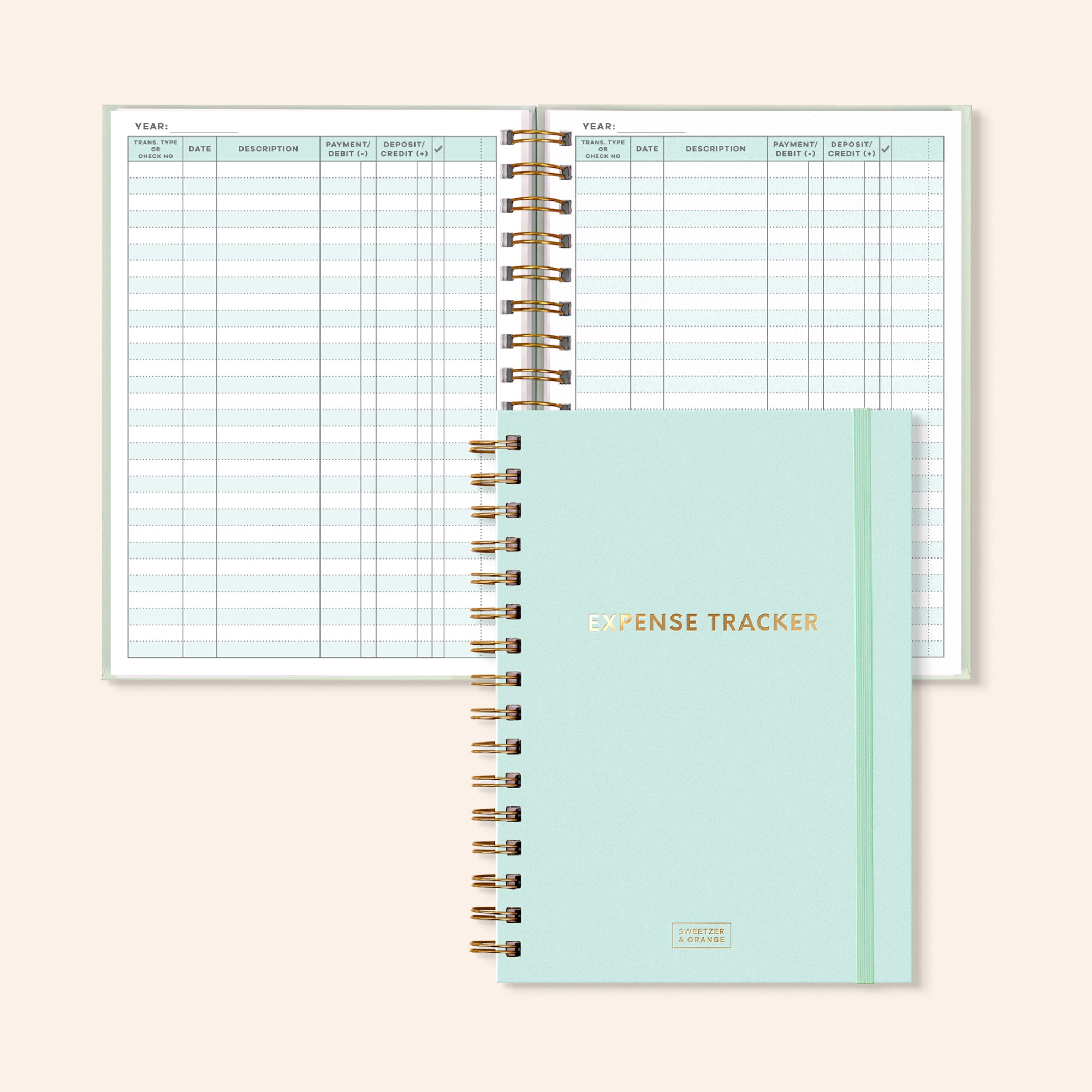 Mint Expense Tracker (Medium)