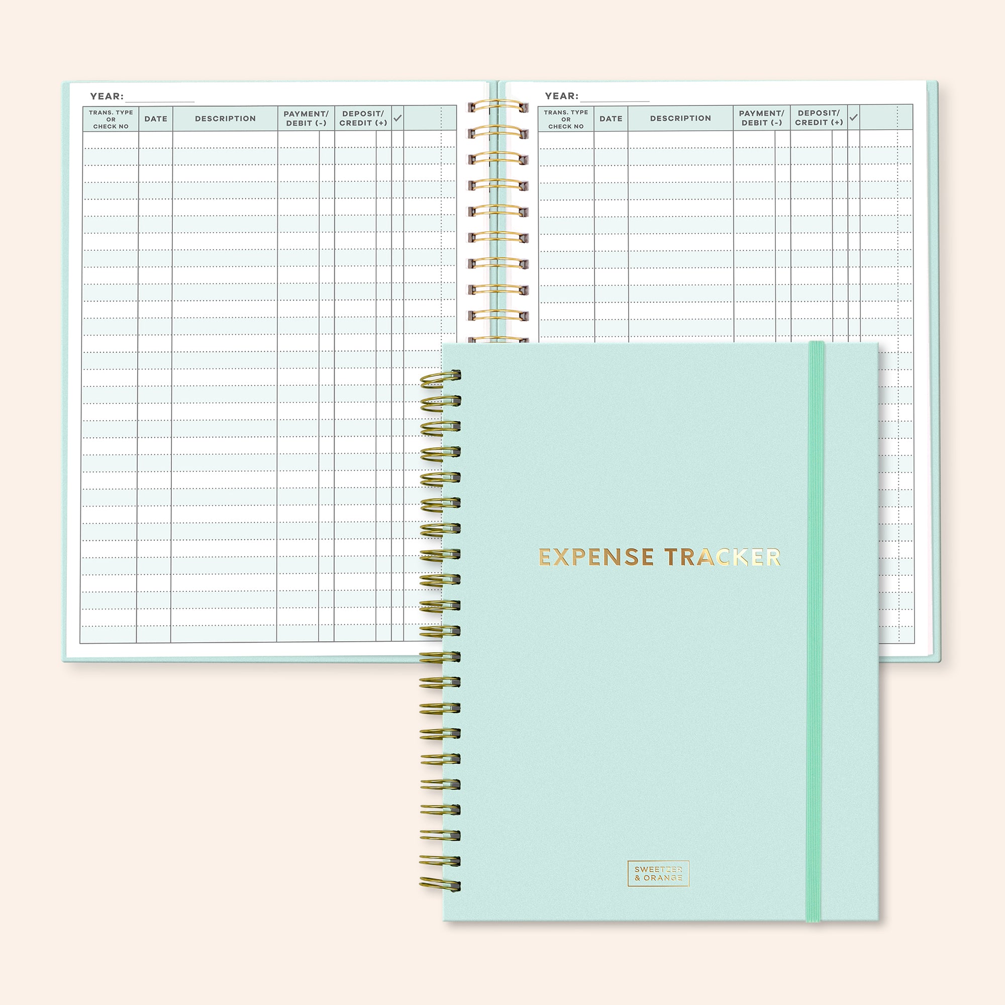 Mint Expense Tracker (Large)