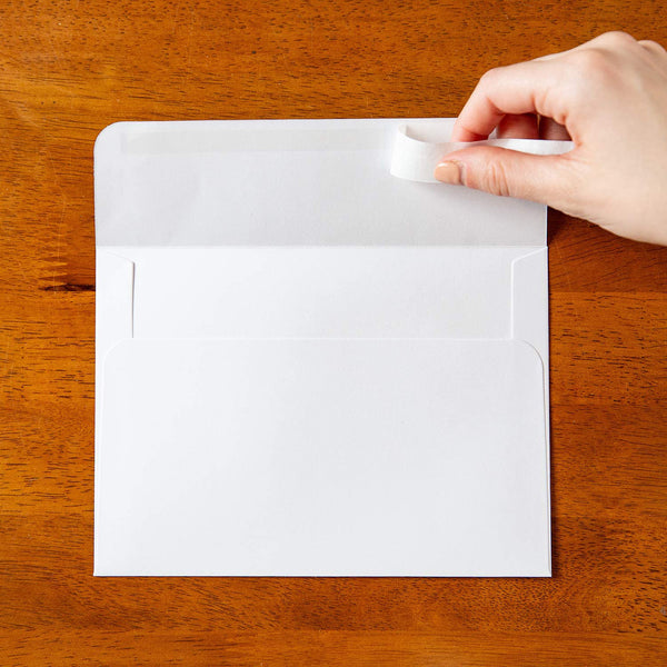 White A7 Envelopes Set of 50 Sweetzer & Orange